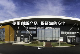 上海建網站公司成功簽約法國代福中國，助力企業數字化升級
